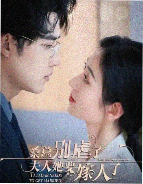 热播剧 风起洛阳2 封面